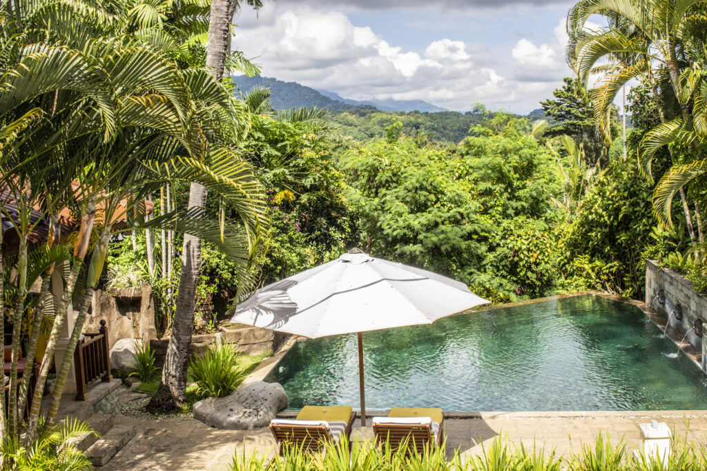 Villa Tunjung for Sale - Infinity Pool